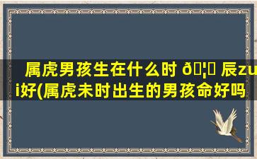 属虎男孩生在什么时 🦍 辰zui
好(属虎未时出生的男孩命好吗 🌺 )